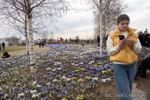 Цветение первоцветов в парке Зарядье
