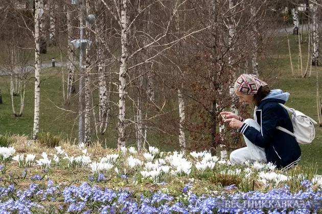 Цветение первоцветов в парке Зарядье