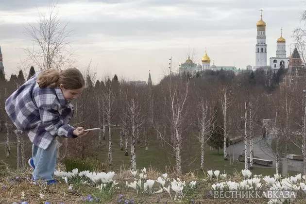 Цветение первоцветов в парке Зарядье