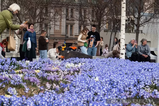 Цветение первоцветов в парке Зарядье