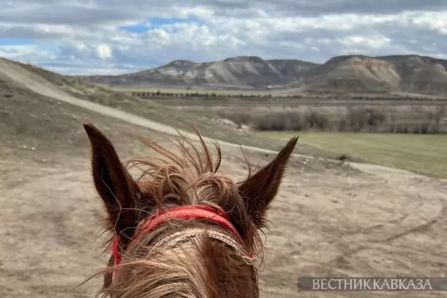 Катание на лошадях
