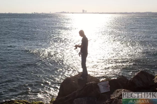 Токаев рассказал об успехах по спасению Аральского моря