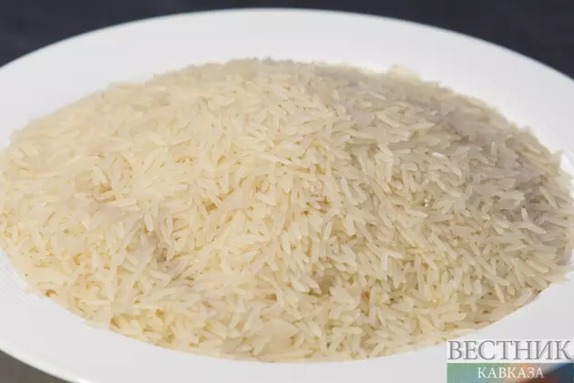 Только российские семена используют в 2026 году рисоводы Кубани