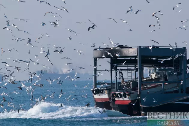 Рыболовный траулер