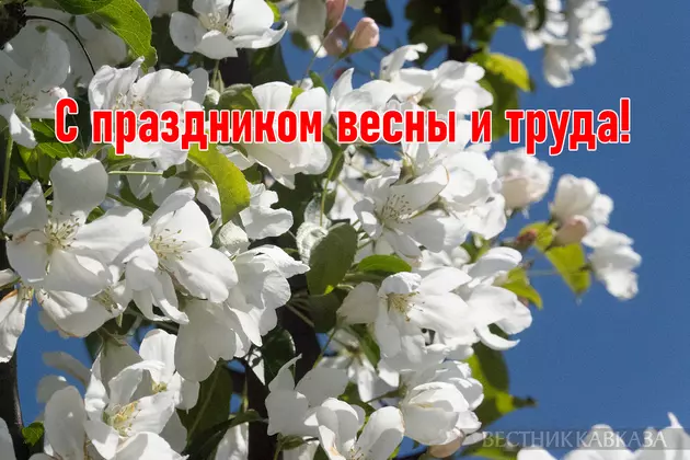 Открытка с 1 мая