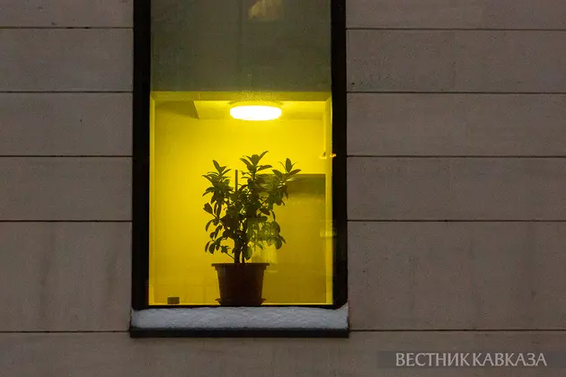 Цветок на окне
