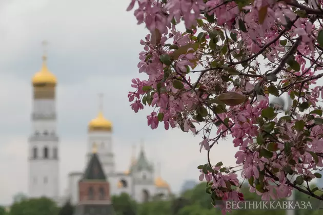 Вид на Кремль
