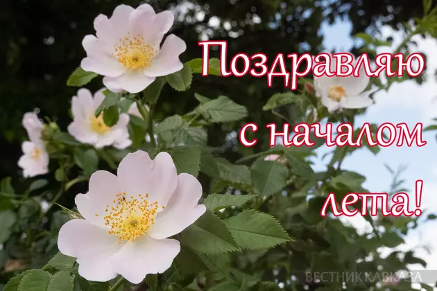 Открытка с началом лета