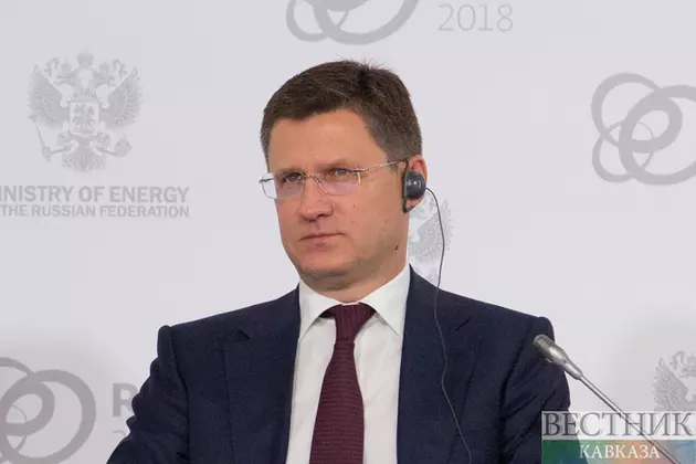Новак призвал подготовить план для устойчивости российского топливного рынка