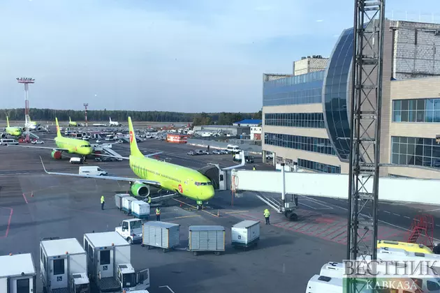 S7 Airlines может возобновить рейсы в ОАЭ к зиме