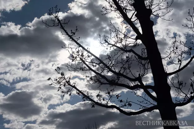 7 древних войн, изменивших мир