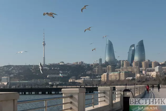 В Азербайджане население выросло на 11 тыс с начала 2026 года