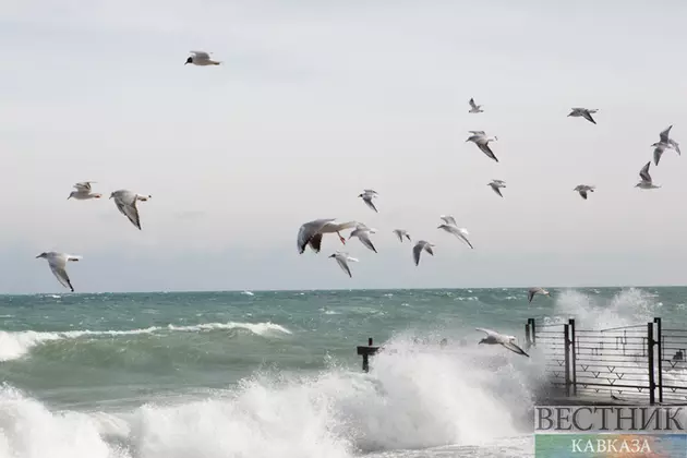 Азербайджан и Казахстан запустят Транскаспийскую волоконно-оптическую линию связи в конце года