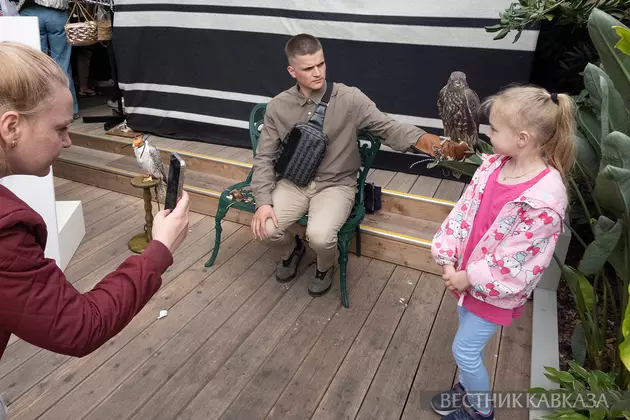 Дни ОАЭ в Москве