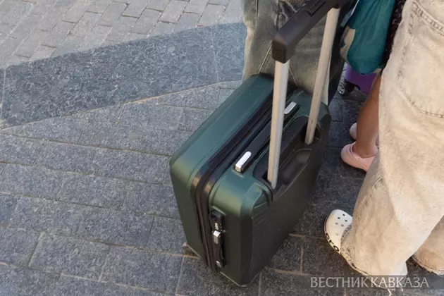 Чемоданы