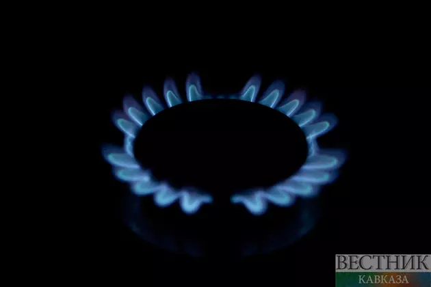 О перебоях с газом предупредили власти Ирана
