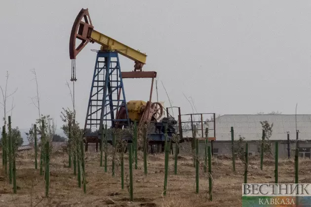 В России с начала года открыли семь нефтяных месторождений