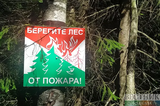 На юге России и Северном Кавказе сохраняется чрезвычайная пожароопасность