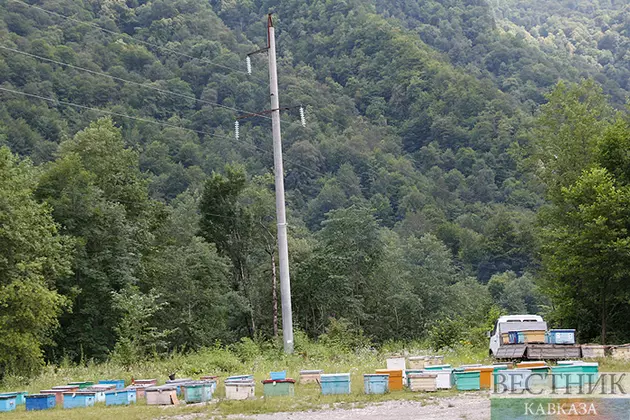 Пасека в горах Ингушетии