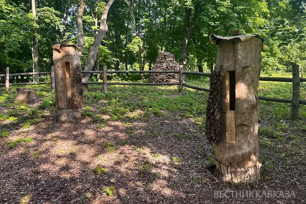 Колода для пчел