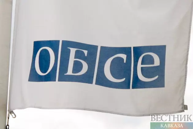 Положение дел в ОБСЕ обсудили Лавров и Синирлиоглу