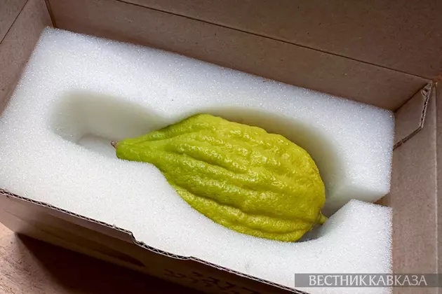 Этрог