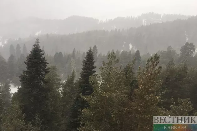 Туристы, пропавшие в КЧР на пути к Софийским озерам, найдены