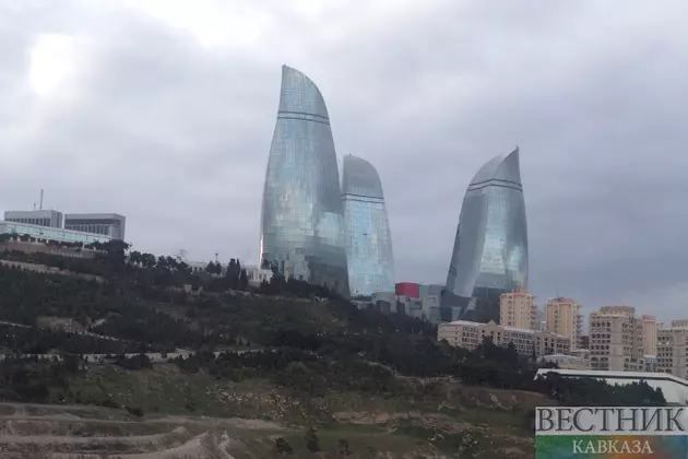 Конференция по вопросам пропавших без вести лиц стартовала в Баку