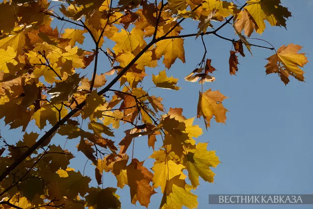 Осень