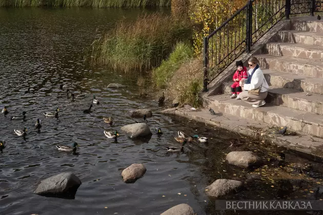 Осень в парке Покровское-Стрешнево