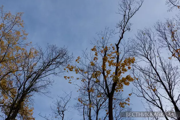 Осень