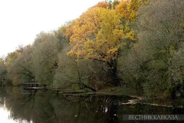 Осень в парке Покровское-Стрешнево