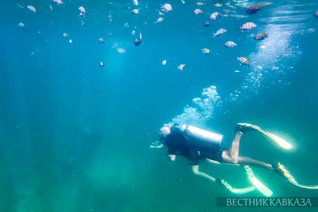 Фокусы под толщей воды