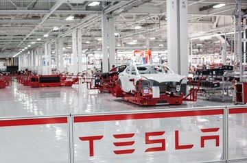 Завод Маска Tesla может вырасти на Дону