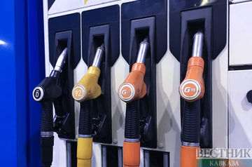Росстат сообщил о падении цен на бензин  