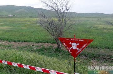 Ребенок и взрослый подорвались на мине на границе Гейгельского и Кельбаджарского районов