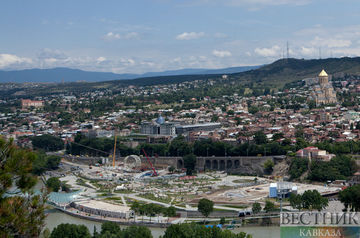 Власти Тбилиси помогут молодым предпринимателям