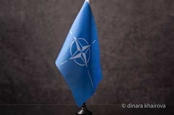 В ЕС поддержали намерение Швеции и Финляндии присоединиться к НАТО