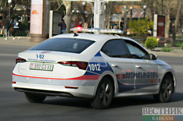 Протестующие затеяли потасовку с полицией в Ереване