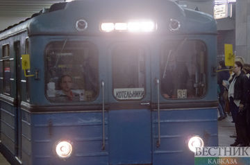 В Москве наклонившиеся деревья парализовали движение поездов на одной из веток метро