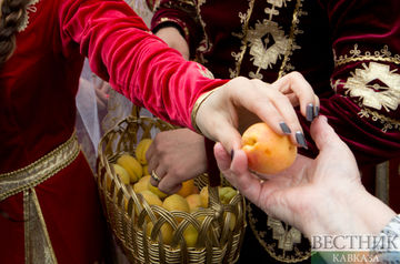 В Махачкале прошел фестиваль &quot;Золотой абрикос Дагестана&quot;