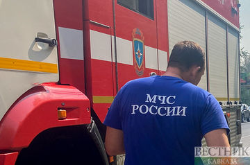 В Ростовской области огонь охватил свыше 200 га