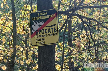 Подмосковные леса запретили посещать до осени