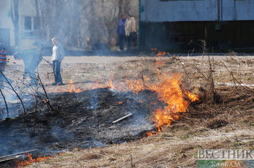 Пожар в предгорье Алматы опасно приблизился к домам