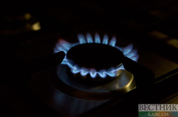 В Москве заявили, что не будут продавать газ себе в убыток