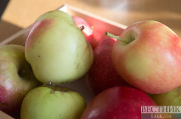 Грузия переработала до пяти тысяч тонн нестандартных яблок