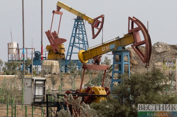 Россия готовится к разработке шести нефтяных и двух газовых месторождений в Иране