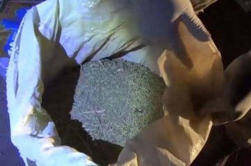 Полиция Казахстана изъяла у наркоплантатора свыше 120 кг конопли