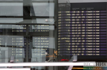 Задержки рейсов в аэропортах Москвы продолжаются