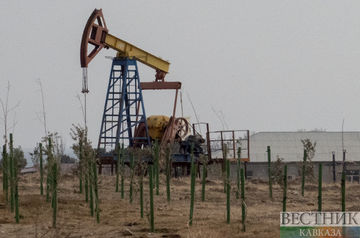 Нефтяные доходы Саудовской Аравии упали до самого низкого уровня с февраля 